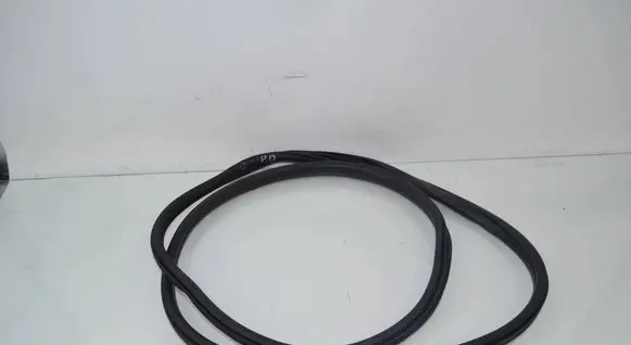 BMW 3 G20 G21 Rubber seal front coupe door 7497912 51727497912