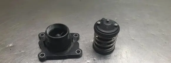 Thermostat/thermostat housing