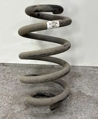 Rear coil spring