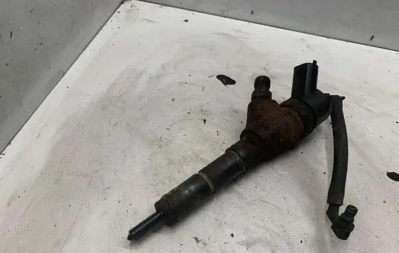 Peugeot 406 Fuel injector 0445770076