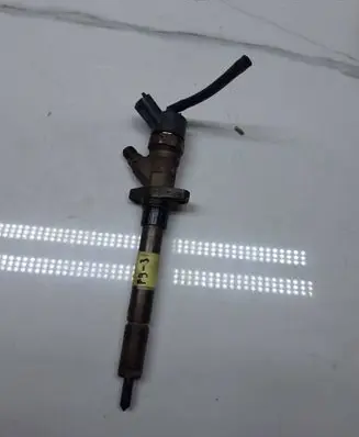 Peugeot 807 Fuel injector 0445110036
