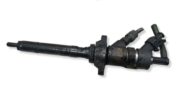 Citroen C4 I Fuel injector 0445110239