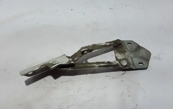 Volkswagen Caddy Engine bonnet/hood hinges 1T0823301