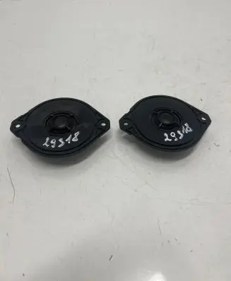 Panel speaker