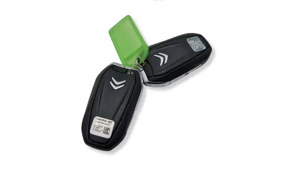 Citroen C4 III e-C4 Ignition key/card 9840150780 43392MH307D E258284