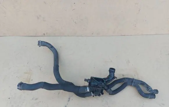 Thermostat/thermostat housing