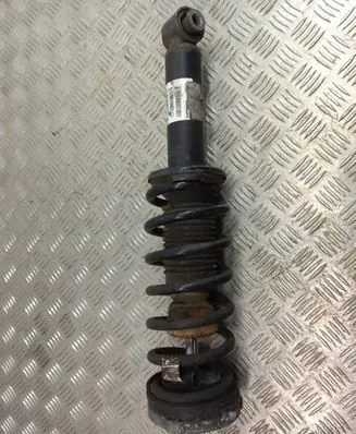 BMW X3 F25 Rear shock absorber with coil spring 6796317