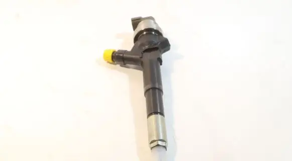 Chevrolet Cruze Fuel injector 55567729