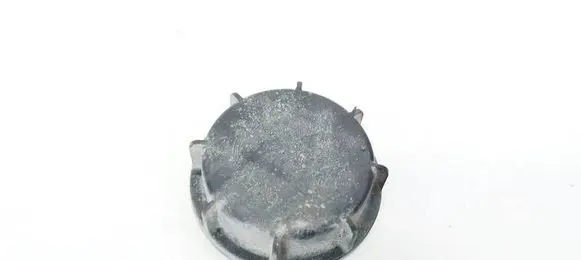 Hyundai Santa Fe Headlight/headlamp dust cover 