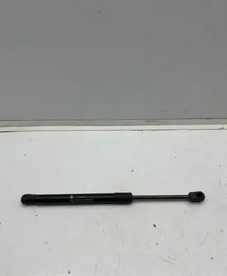 Dacia Spring Tailgate strut 904504923R