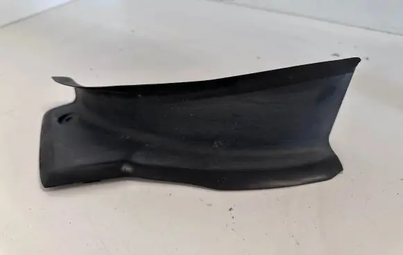 Rear/tail light trim molding