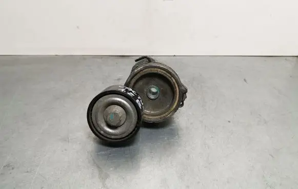 Citroen C4 Cactus Generator/alternator belt tensioner
