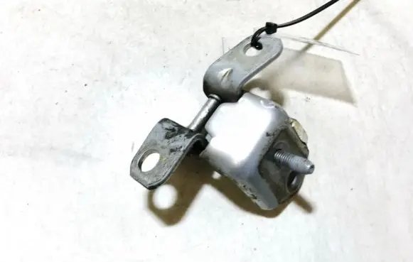 Tailgate/trunk/boot hinge