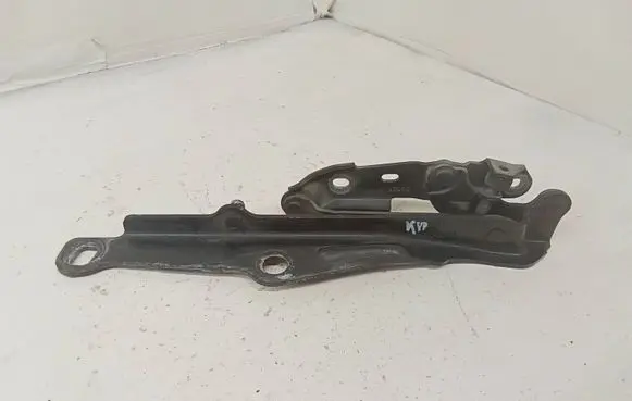 Chrysler 300 - 300C Engine bonnet/hood hinges 89QGN7H