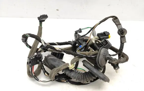 Renault Laguna III Front door wiring loom 241243343R