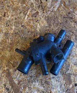 Thermostat/thermostat housing