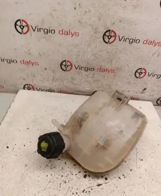 Renault Twingo II Coolant expansion tank/reservoir 8200369313