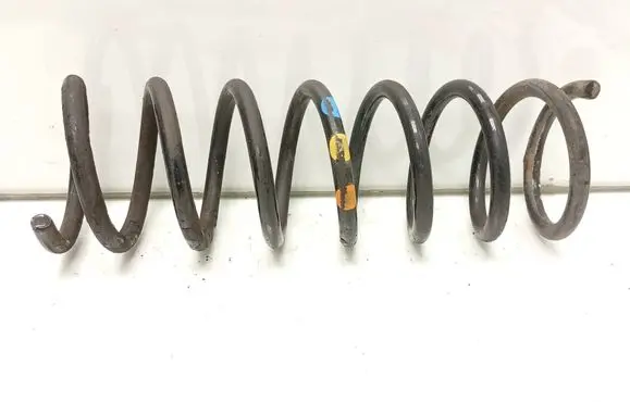 Rear coil spring