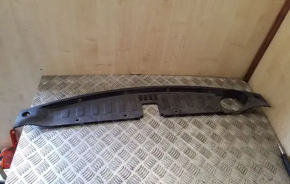 Engine bonnet/hood lock trim molding