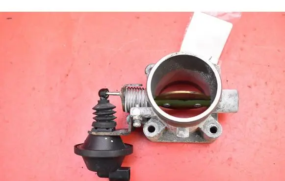 Throttle body valve