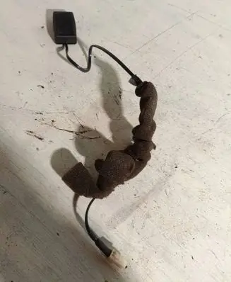 Audi A3 S3 8L Sensor