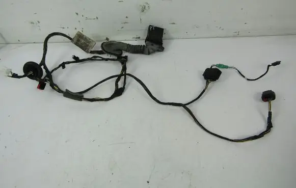 Volkswagen PASSAT B6 Front door wiring loom 4M5T14240ARF