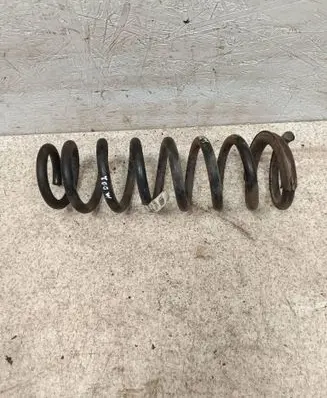 Rear coil spring