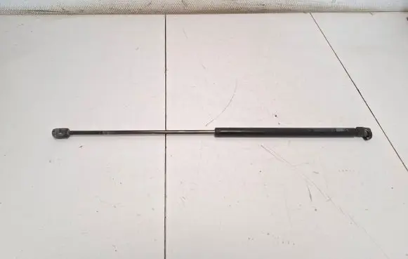 Tailgate/trunk strut/damper