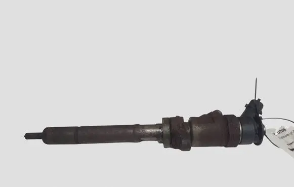 Peugeot 307 Fuel injector 0445110311
