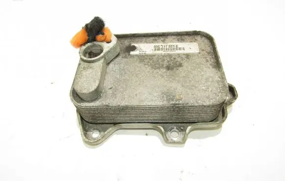 Oil filter mounting bracket