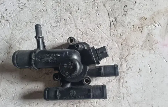 Thermostat/thermostat housing