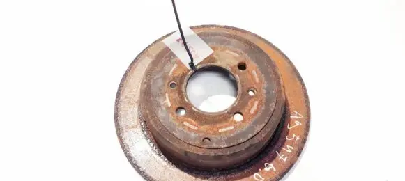 Peugeot 406 Rear brake disc neventiliuojamas