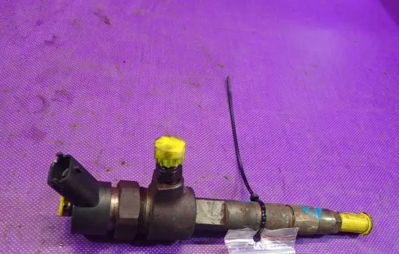 Fiat Multipla Fuel injector 0445110119