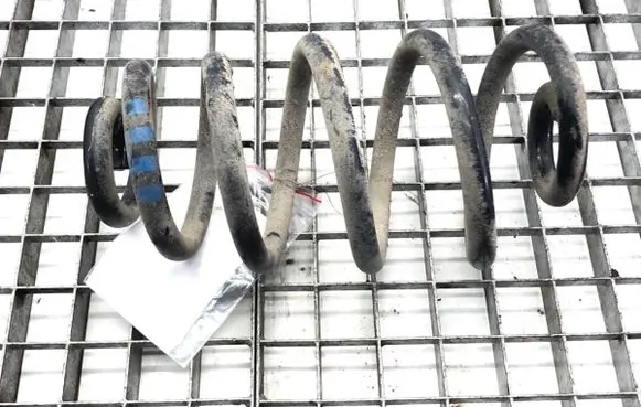 Rear coil spring
