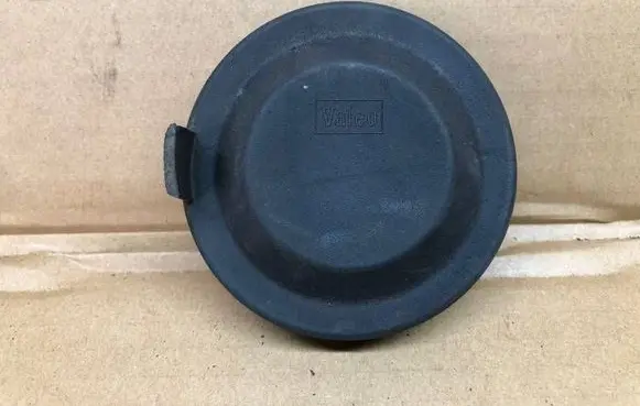 Volkswagen PASSAT B8 Headlight/headlamp dust cover 89004031