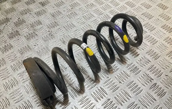 Rear coil spring