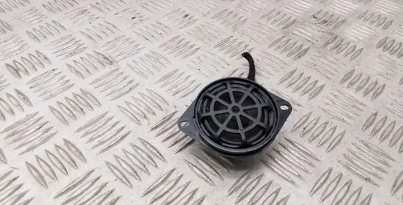 Panel speaker