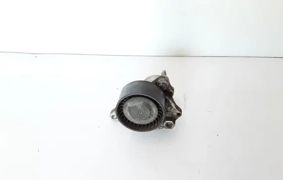 Renault Trafic III (X82) Alternator belt tensioner 117505337R