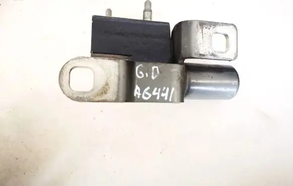Rear door lower hinge