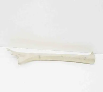 (A) pillar trim
