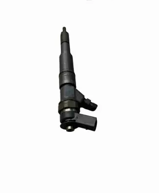 BMW X5 E53 Fuel injector 7789661