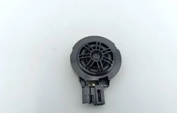Front door high frequency speaker