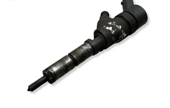 Peugeot 307 Fuel injector 0445110076