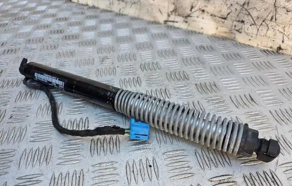 Tailgate/trunk strut/damper