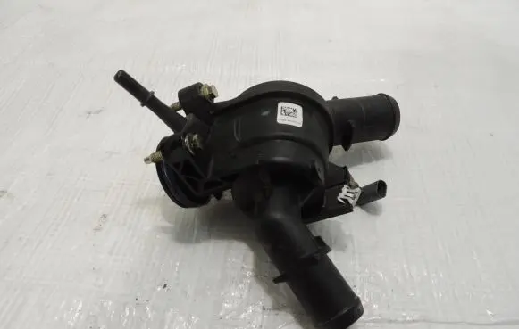 Thermostat/thermostat housing