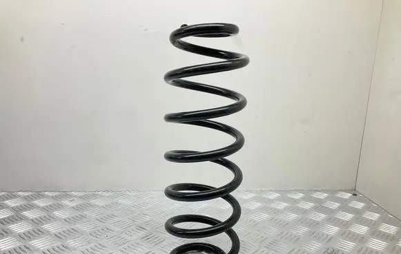 Volkswagen Tiguan Rear coil spring 78731 1000880542