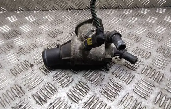 Thermostat/thermostat housing