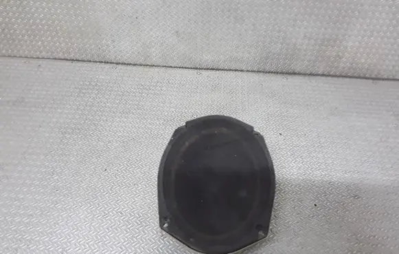Chrysler 300 - 300C Rear door speaker P05059063AB