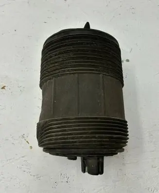 Volkswagen Touareg III Rear coil spring 4M4616002E
