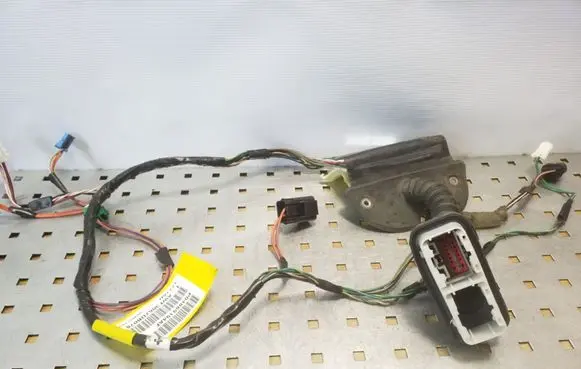 Chrysler Grand Voyager V Front door wiring loom P04869194AF